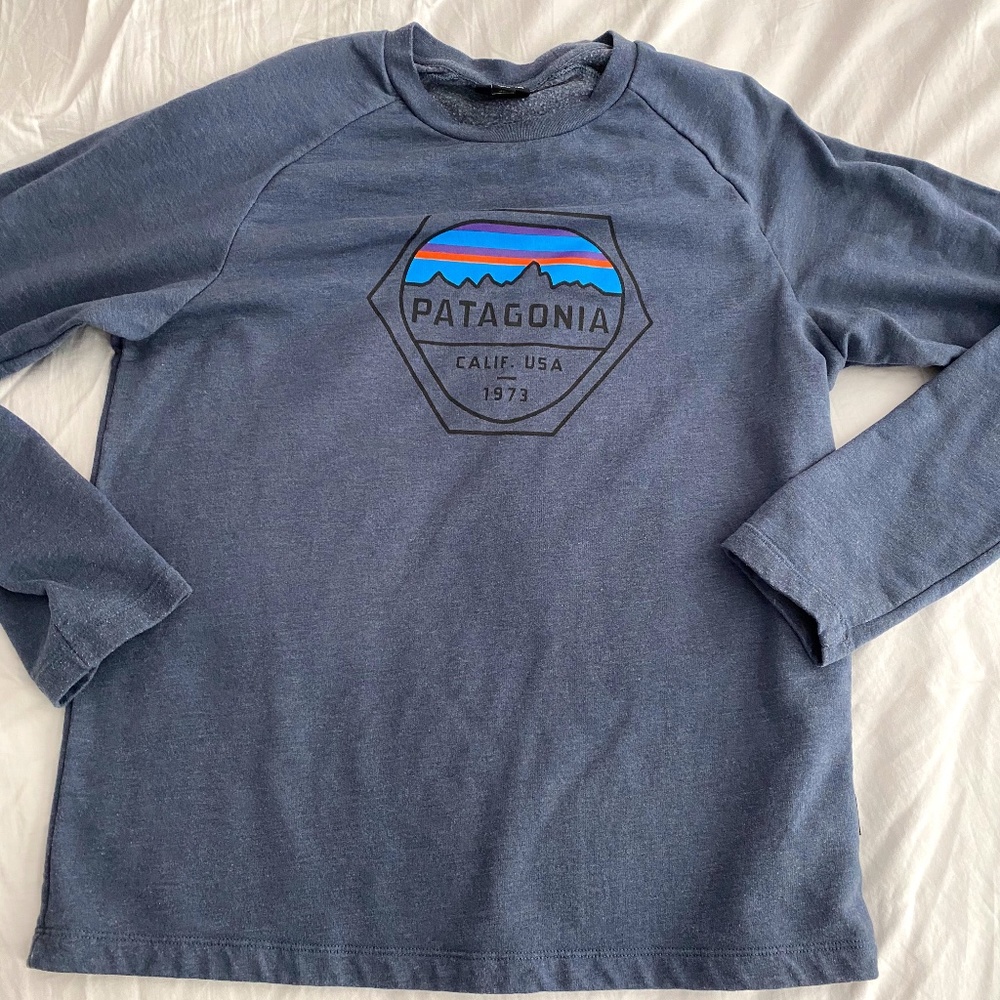 Patagonia Fitz Roy Scope Sweatshirt